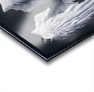 8640realistic wings Acrylic print