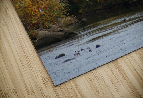 Lonely walk 5 Lorna Ruiz puzzle