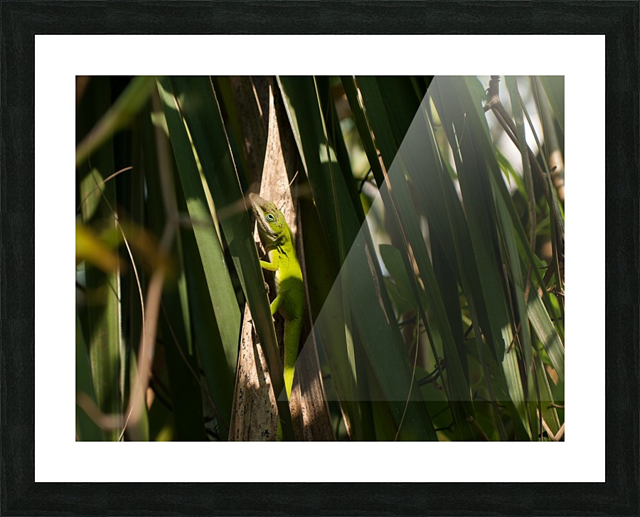 Hello Neighbor Picture Frame print