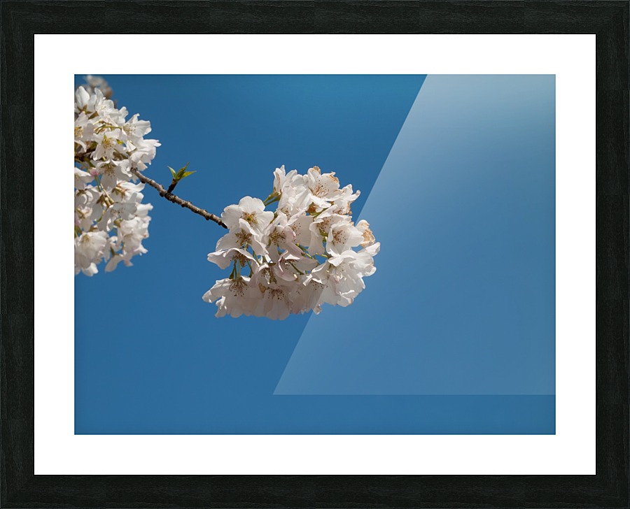 Funny Clouds Picture Frame print