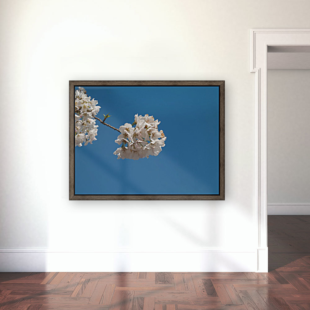 Funny Clouds Reproduction