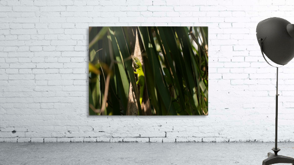 Hello Neighbor Wall Preview