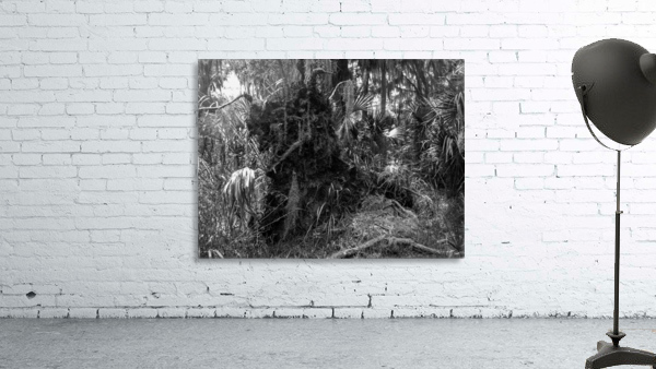 Uprooted Wall Preview