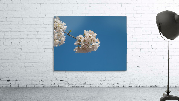 Funny Clouds Wall Preview