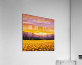 Where Flowers Meet the Sun Acrylic Print