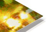 Isa Yeshuan Jesus HD Metal print