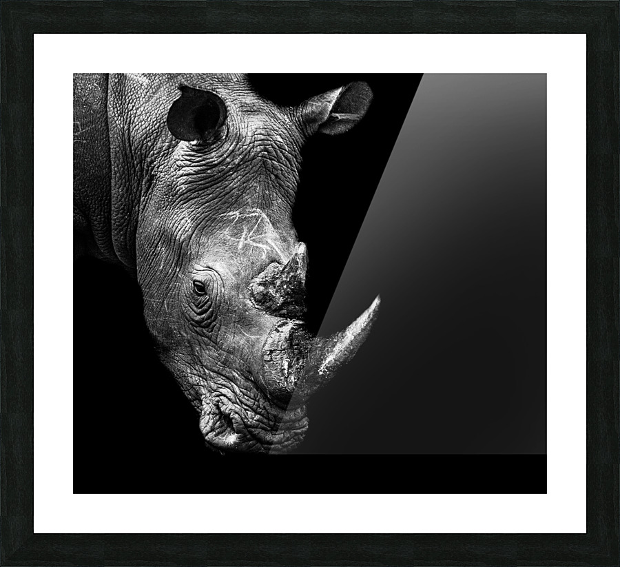 Rhino Picture Frame print