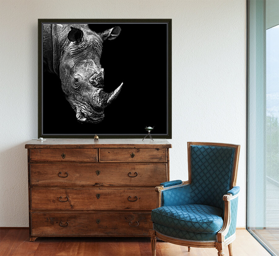 Rhino Reproduction