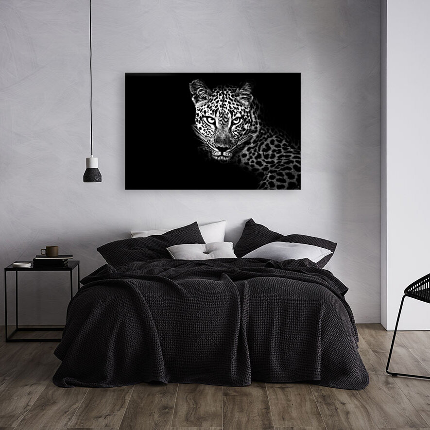 Leopard Eyes Reproduction