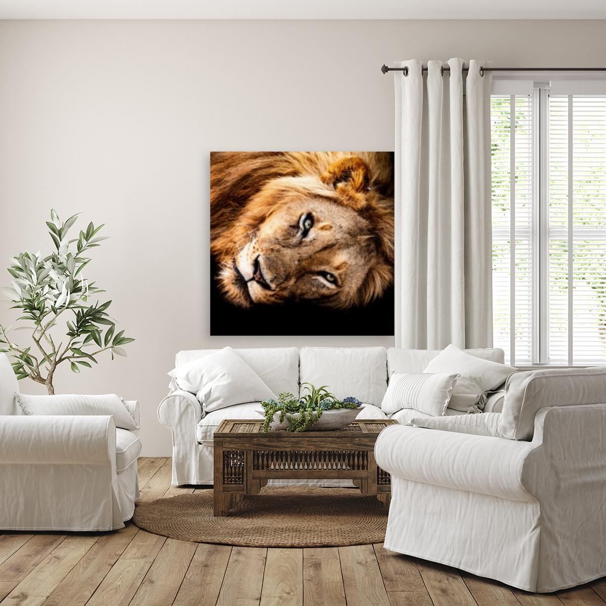 Lion Reproduction