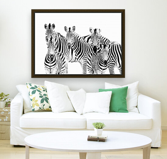 Zebra Cluster Reproduction