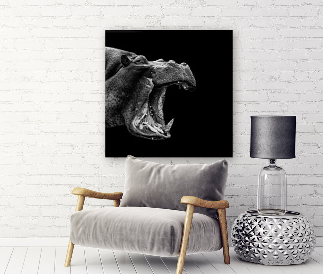 Hippo Shout Reproduction
