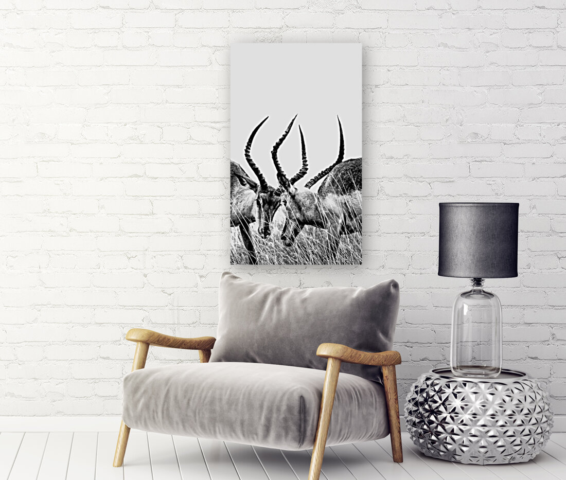 Impala Reproduction