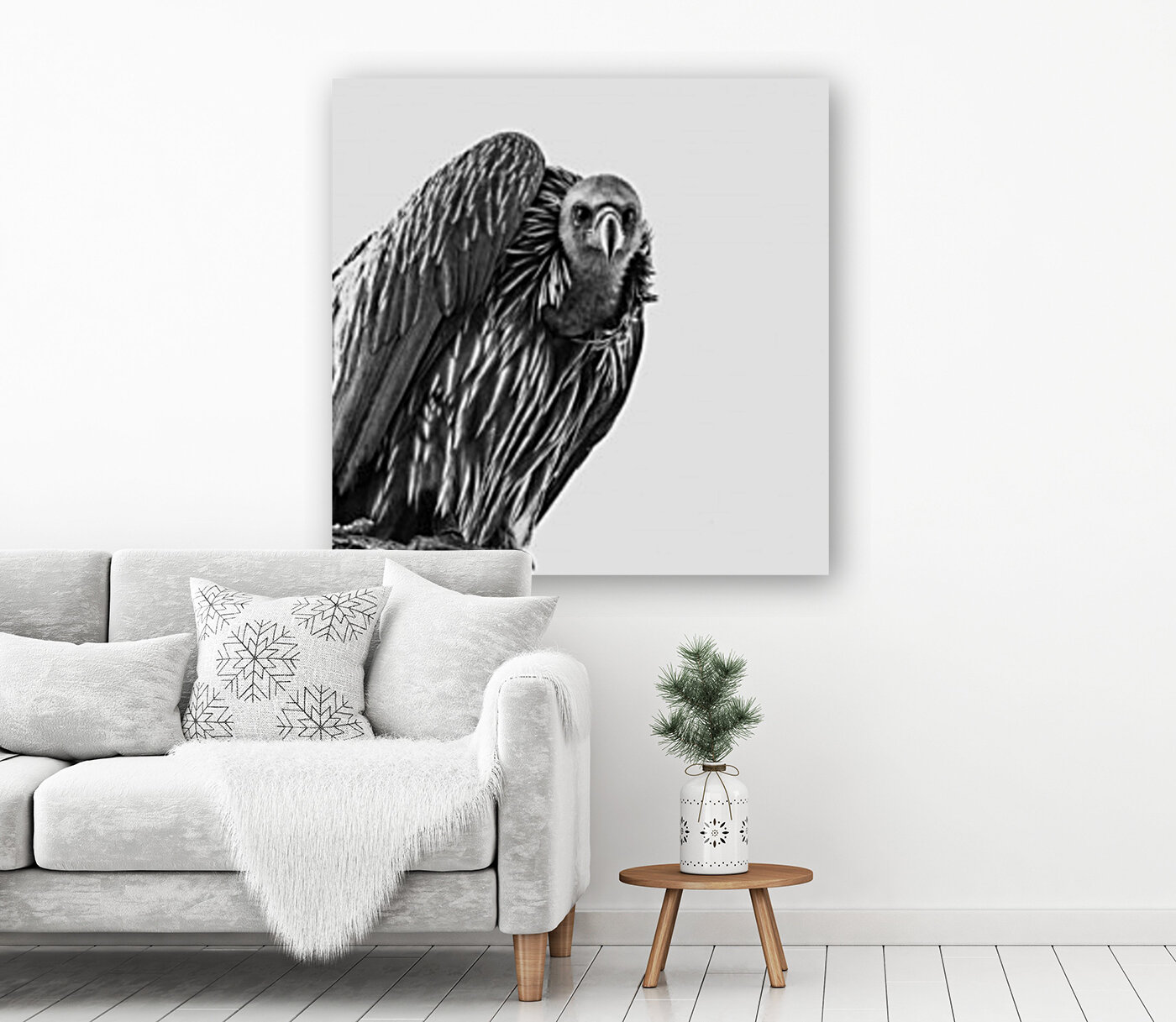 Vulture Reproduction