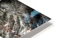 Elephant Surge HD Metal print