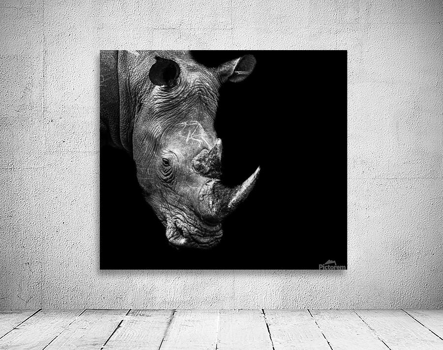 Rhino Wall Preview