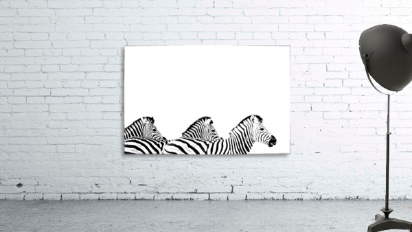 Zebra Wave Wall Preview