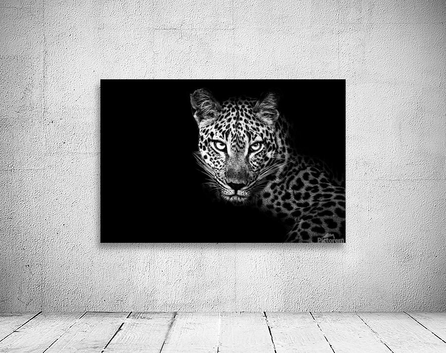 Leopard Eyes Wall Preview