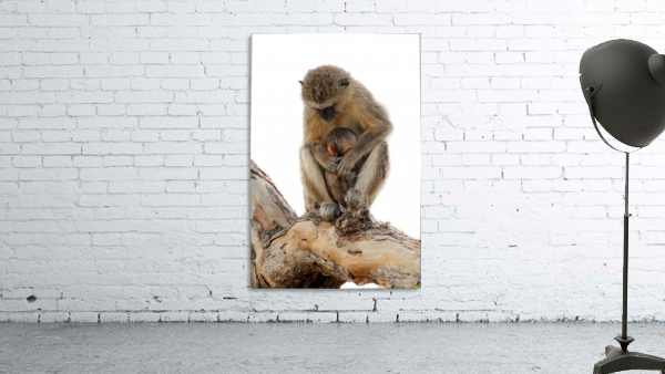 Monkey & Mom Wall Preview