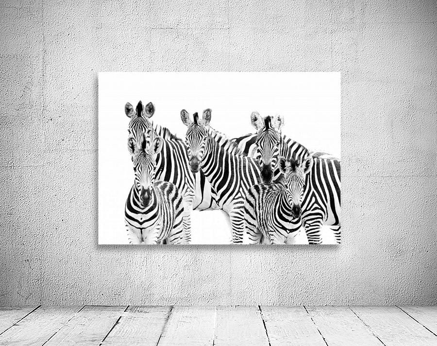 Zebra Cluster Wall Preview