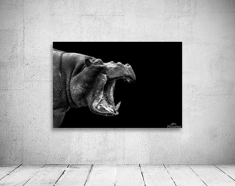 Hippo Shout Wall Preview