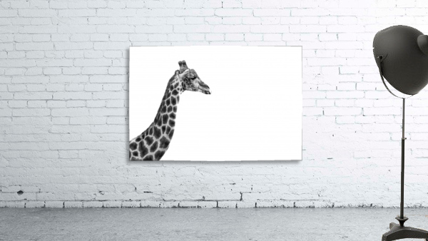 Giraffe Edge Wall Preview