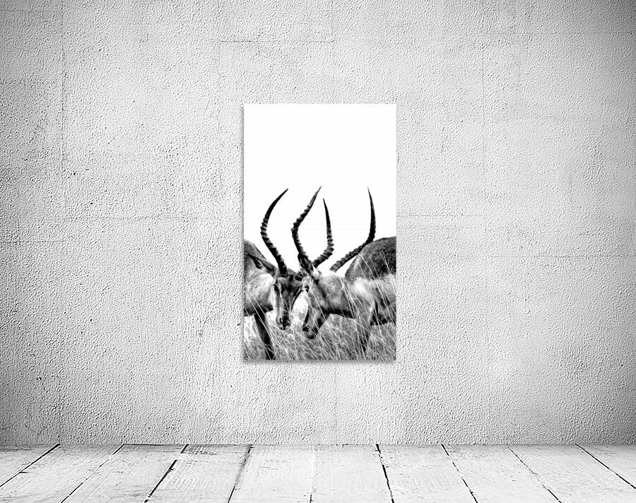 Impala Wall Preview