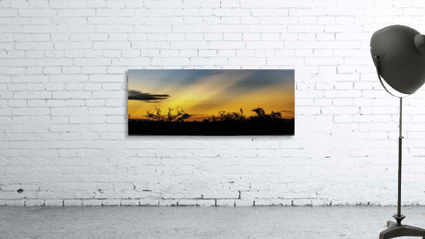 Landscape Wall Preview