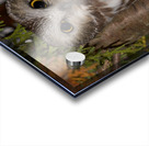 saw-whet Acrylic print