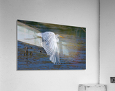 Effortless Acrylic Print