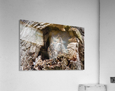 TheLookOut Acrylic Print