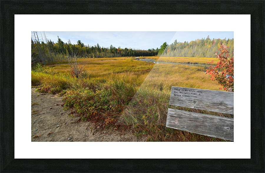 No WiFi  Picture Frame print
