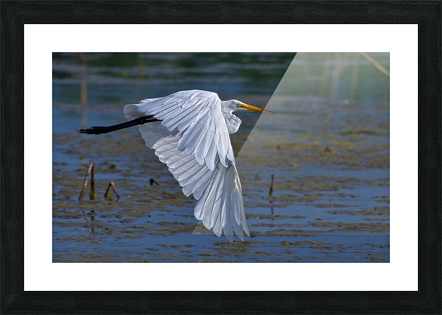 Effortless Picture Frame print
