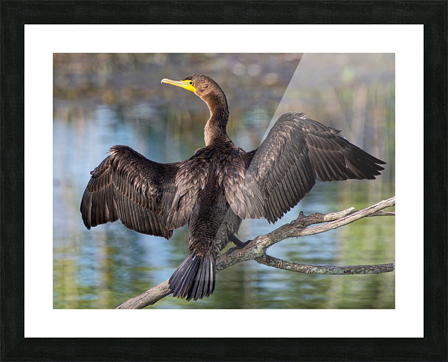 Stretch Picture Frame print
