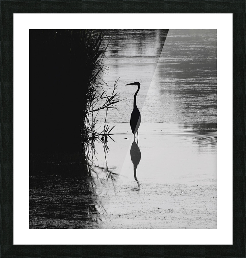 Heron Silhouette Picture Frame print