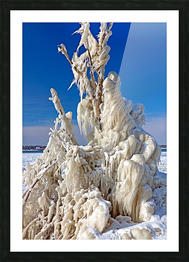 Frozen Picture Frame print