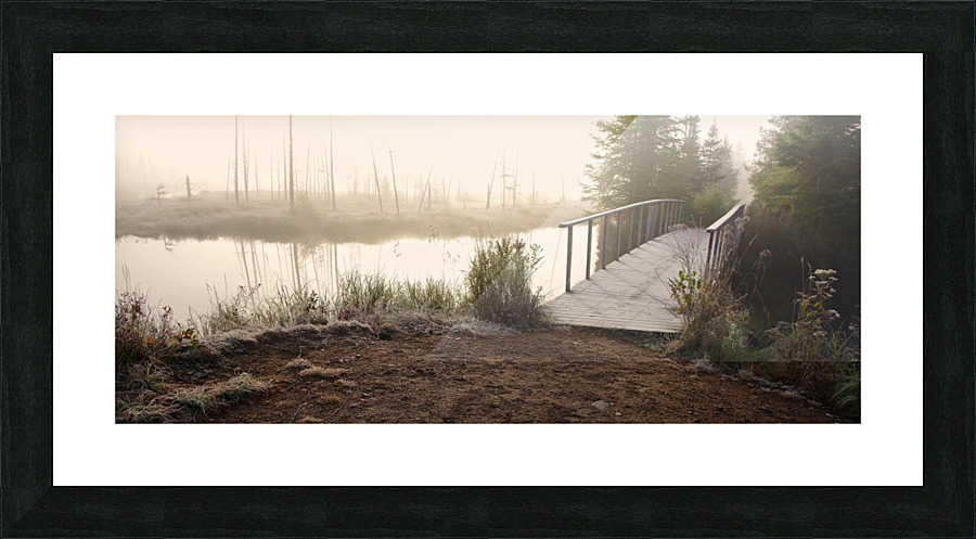 Misty sunrise Picture Frame print