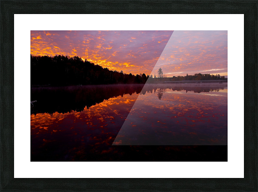 Algonquin sunrise Picture Frame print