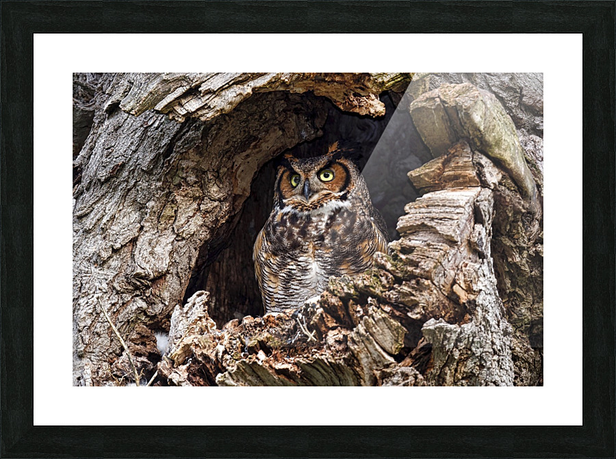 TheLookOut Picture Frame print