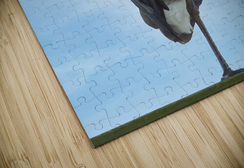 Stand Tall Chris Seager puzzle
