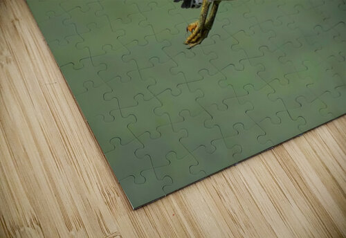 Green Flight Chris Seager puzzle