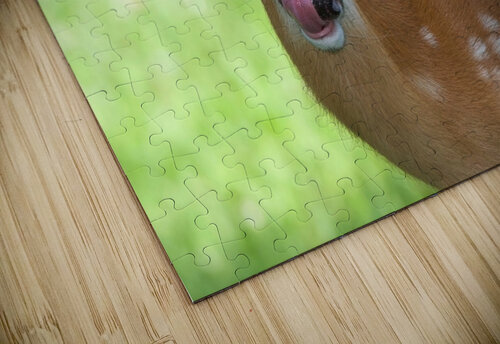 Bambi Chris Seager puzzle