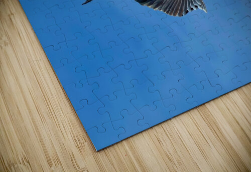 Heron in flight Chris Seager puzzle