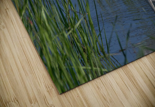 Great Egret  Chris Seager puzzle