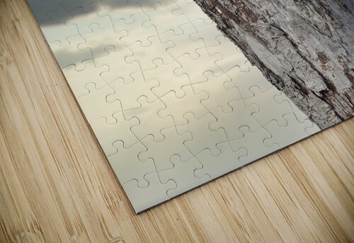 Hawk Owl Storm Chris Seager puzzle