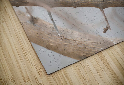 Finch  Chris Seager puzzle