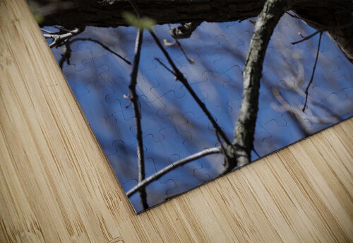 The Sentinel  Chris Seager puzzle