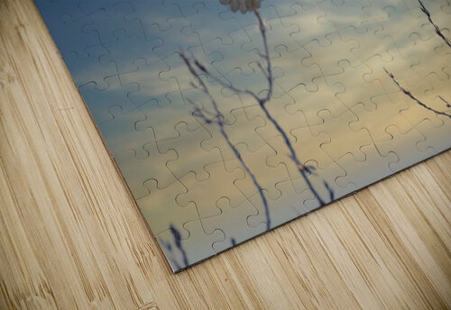 Eagle Sunset Chris Seager puzzle