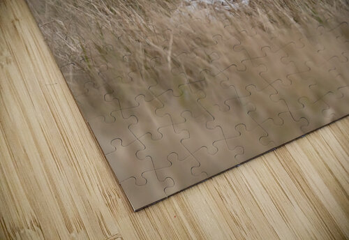 Snowy Stare  Chris Seager puzzle