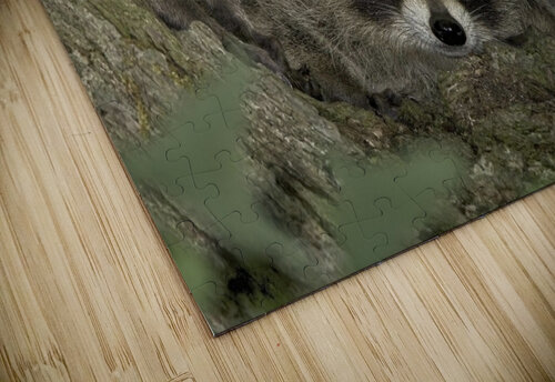 Three Amigos Chris Seager puzzle